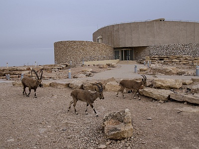 Israel Jordanien -240